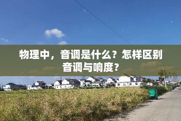 物理中，音调是什么？怎样区别音调与响度？
