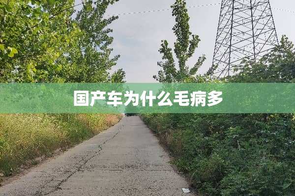国产车为什么毛病多
