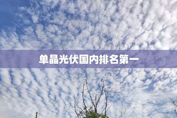 单晶光伏国内排名第一