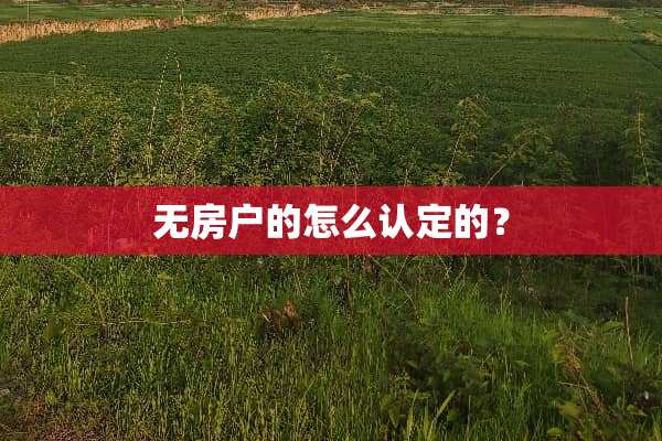 无房户的怎么认定的？