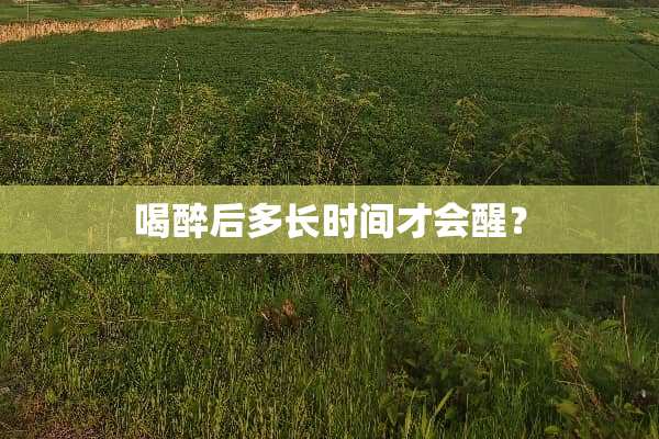 喝醉后多长时间才会醒？