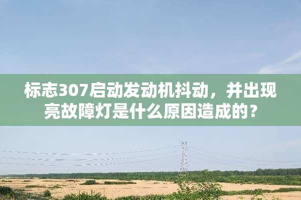 标志307启动发动机抖动，并出现亮故障灯是什么原因造成的？
