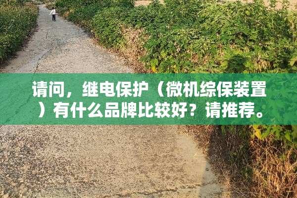 请问，继电保护（微机综保装置）有什么品牌比较好？请推荐。