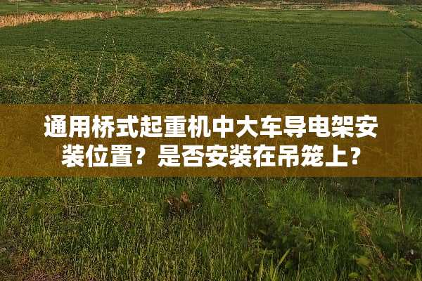 通用桥式起重机中大车导电架安装位置？是否安装在吊笼上？