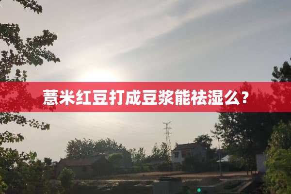 薏米红豆打成豆浆能祛湿么？