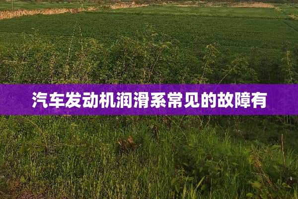汽车发动机润滑系常见的故障有