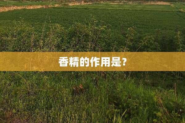香精的作用是？