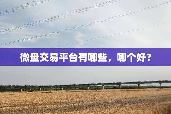 微盘交易平台有哪些，哪个好？