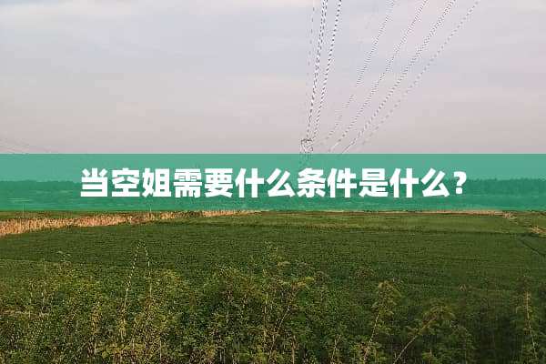 当空姐需要什么条件是什么？