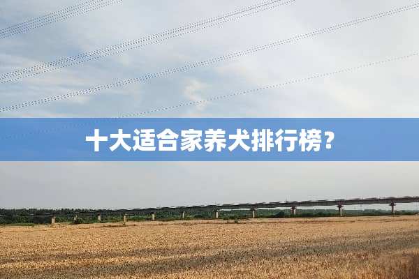 十大适合家养犬排行榜？