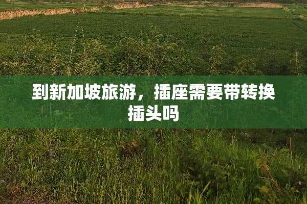 到新加坡旅游，插座需要带转换插头吗