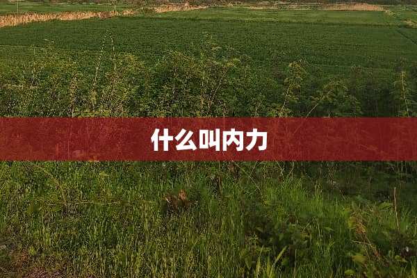 什么叫内力