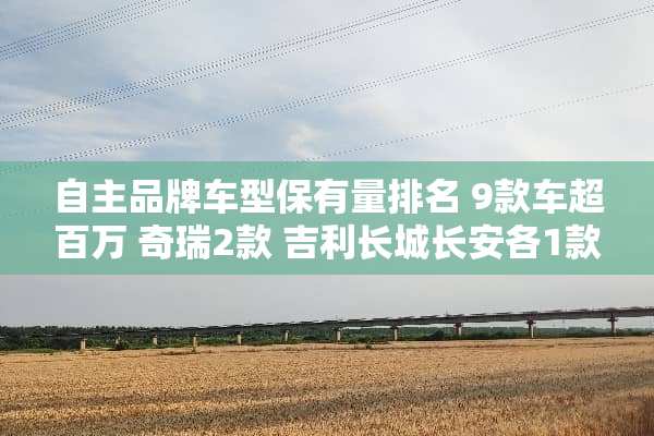 自主品牌车型保有量排名 9款车超百万 奇瑞2款 吉利长城长安各1款