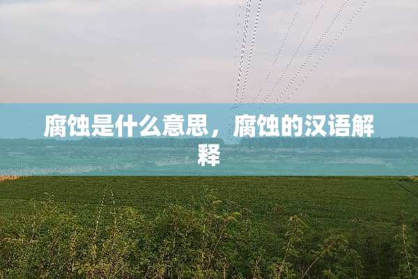 腐蚀是什么意思，腐蚀的汉语解释