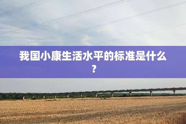 我国小康生活水平的标准是什么？
