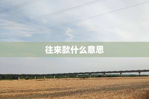 往来款什么意思