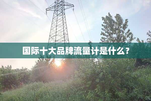 国际十大品牌流量计是什么？
