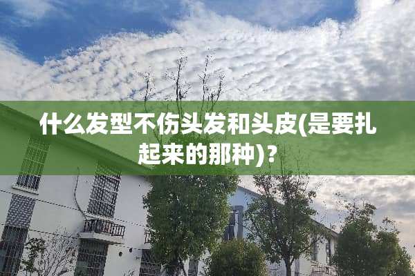 什么发型不伤头发和头皮(是要扎起来的那种)？