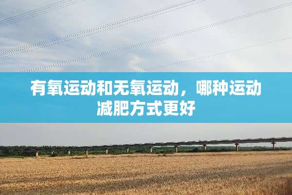 有氧运动和无氧运动，哪种运动减肥方式更好