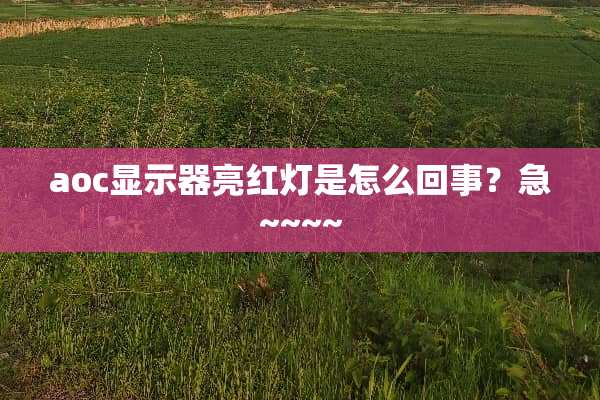 aoc显示器亮红灯是怎么回事？急~~~~