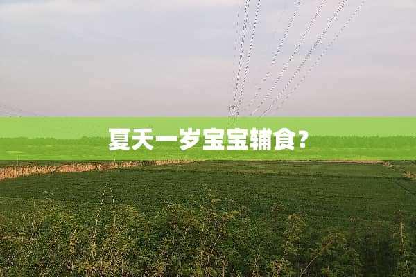 夏天一岁宝宝辅食？