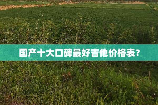 国产十大口碑最好吉他价格表？