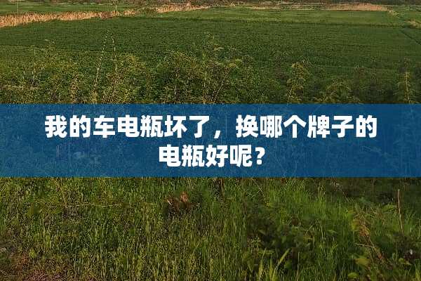 我的车电瓶坏了，换哪个牌子的电瓶好呢？