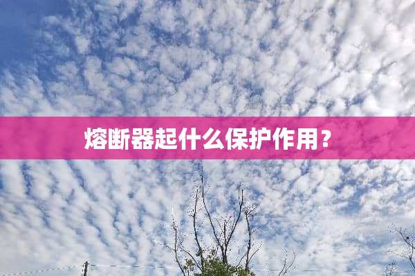 熔断器起什么保护作用？