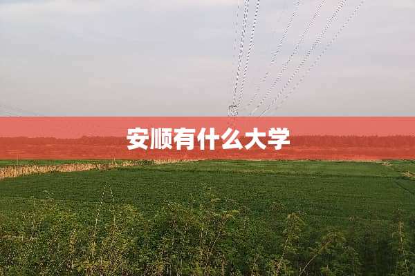 安顺有什么大学