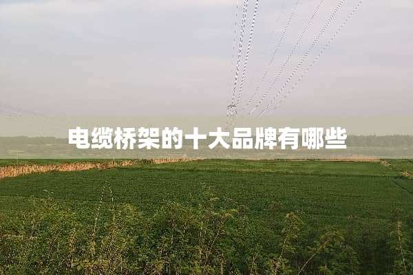 电缆桥架的十大品牌有哪些
