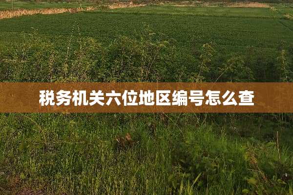 税务机关六位地区编号怎么查