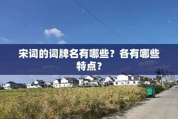 宋词的词牌名有哪些？各有哪些特点？