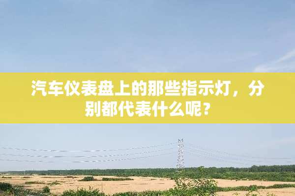 汽车仪表盘上的那些指示灯，分别都代表什么呢？