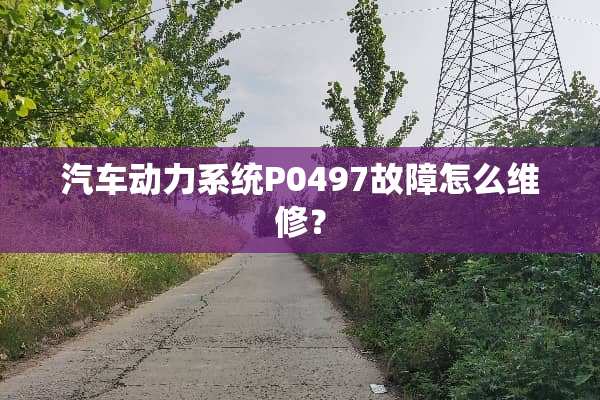 汽车动力系统P0497故障怎么维修？