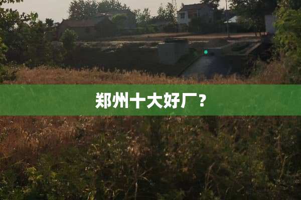 郑州十大好厂？
