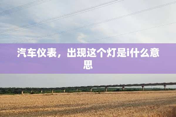 汽车仪表，出现这个灯是i什么意思