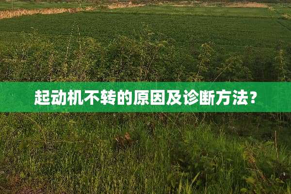 起动机不转的原因及诊断方法？
