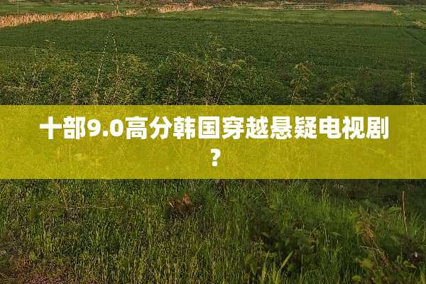 十部9.0高分韩国穿越悬疑电视剧？