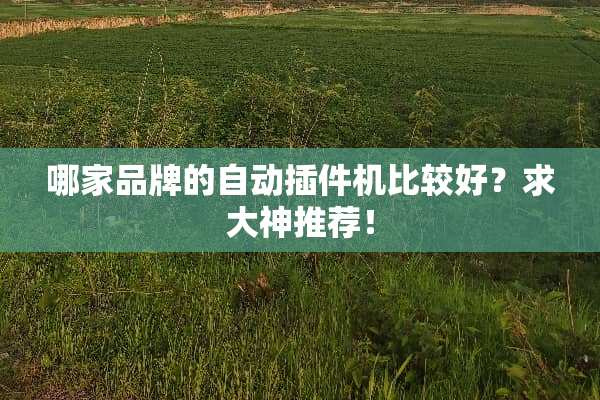 哪家品牌的自动插件机比较好？求大神推荐！