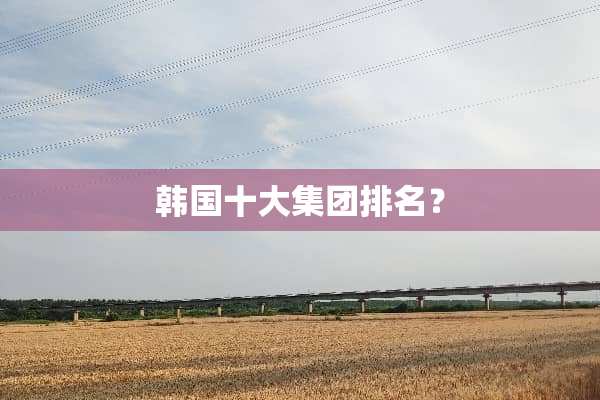 韩国十大集团排名？