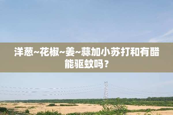洋葱~花椒~姜~蒜加小苏打和有醋能驱蚊吗？