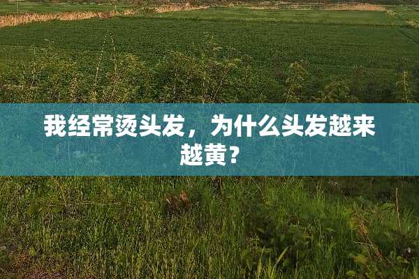 我经常烫头发，为什么头发越来越黄？