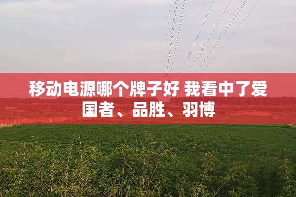 移动电源哪个牌子好 我看中了爱国者、品胜、羽博