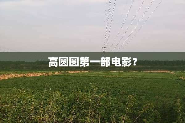 高圆圆第一部电影？