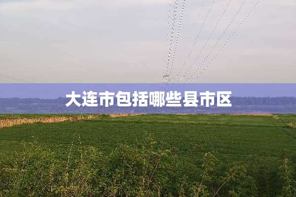 大连市包括哪些县市区
