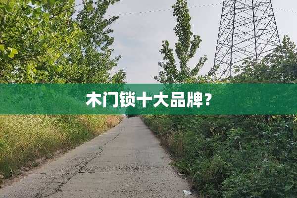 木门锁十大品牌？