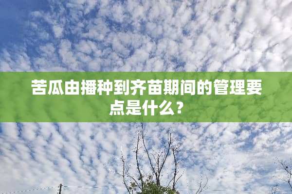 苦瓜由播种到齐苗期间的管理要点是什么？