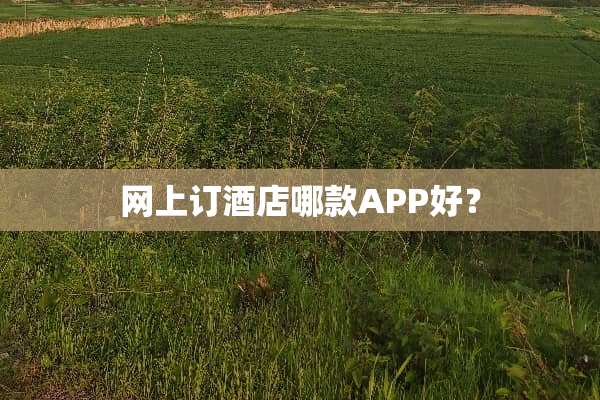 网上订酒店哪款APP好？
