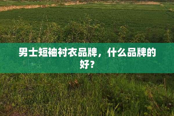 男士短袖衬衣品牌，什么品牌的好？