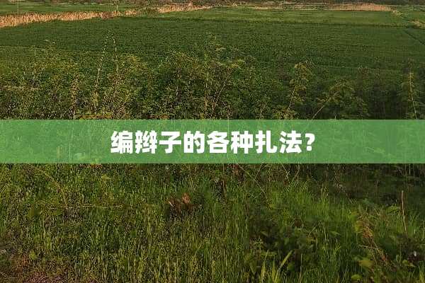 编辫子的各种扎法？